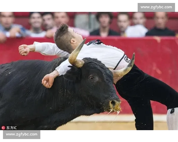2017年度斗牛精彩赛事全程回顾与惊险瞬间解析